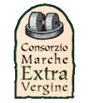 Logo Consorzio IGP