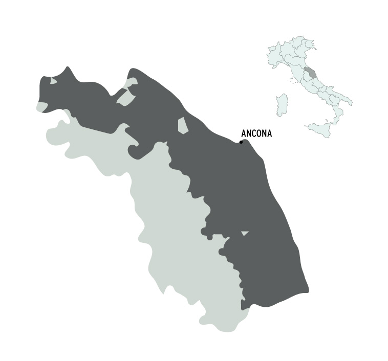 marche-igp-olio-evo